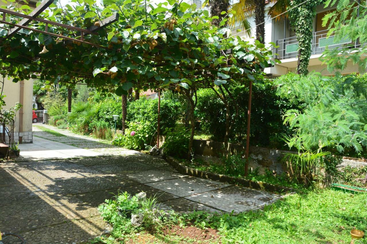 Apartament Orange *