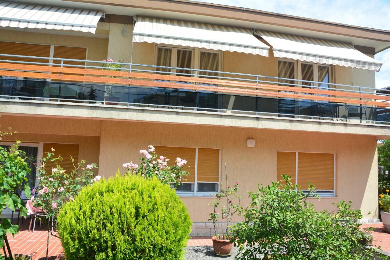Apartament Orange